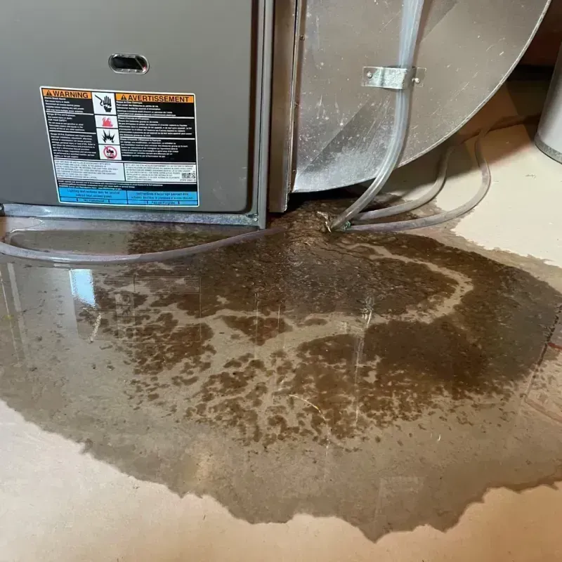 Appliance Leak Cleanup in Scottsdale, AZ